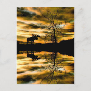 Reflecties Post Card Briefkaart