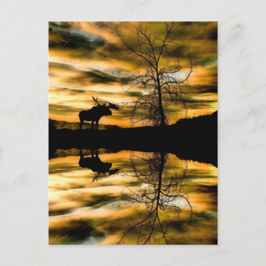   Reflecties Post Card Briefkaart (Voorkant)