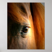 Reflecties Poster (Voorkant)