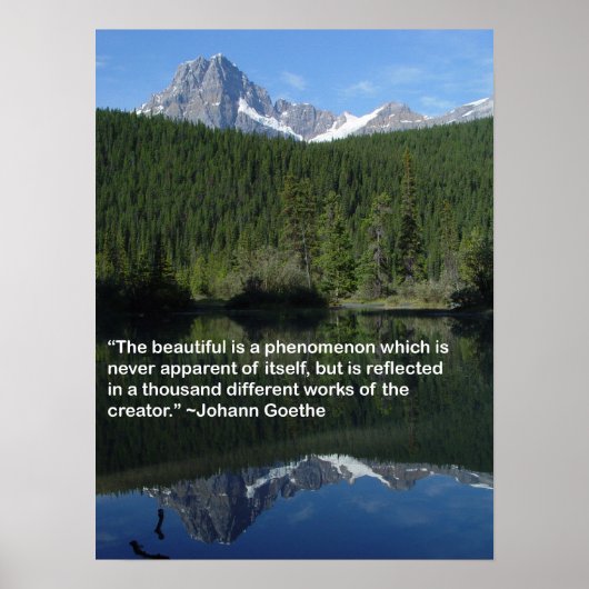 Reflecties Poster (Voorkant)