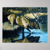 Reflecties Poster (Voorkant)