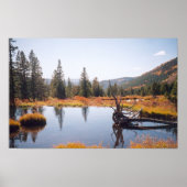 Reflecties Poster (Voorkant)