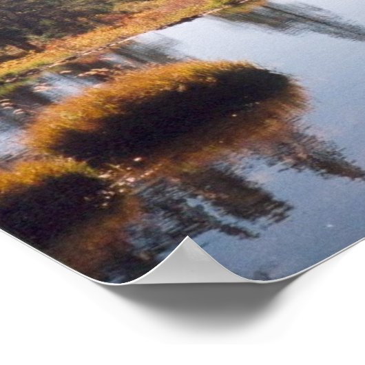 Reflecties Poster (Hoek)