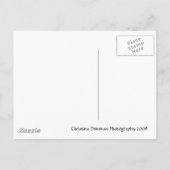 Reflecties SAVE THE DATE Aankondigingskaart (Achterkant)