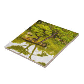 Reflecties Tegeltje (Zijkant)