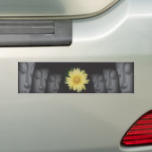 Reflecties van Bumpersticker (Op auto)