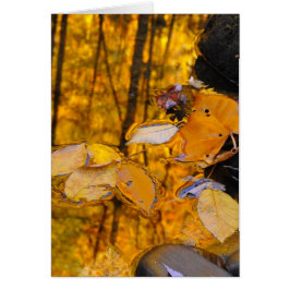 Reflecties van de herfst Gold