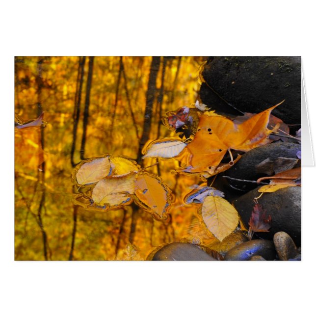 Reflecties van de herfst Gold (Voorkant Horizontaal)