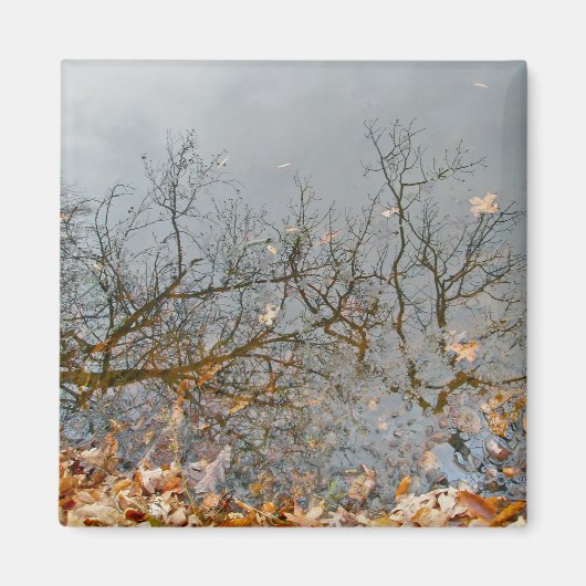 Reflecties van de herfst Magnet (Voorkant)