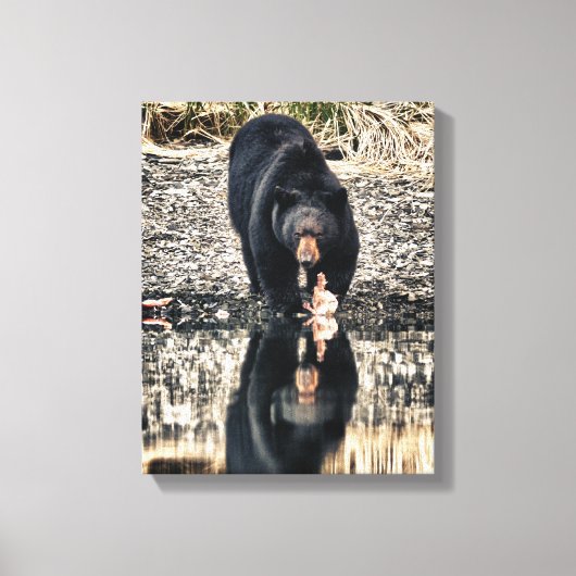 Reflecties van de zwarte beer canvas afdruk (Voorkant)