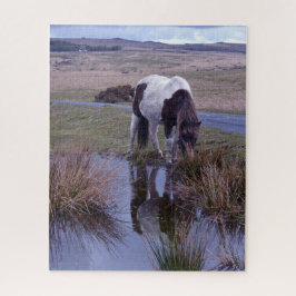 Reflecties van een nationaal park Dartmoor in de P Legpuzzel