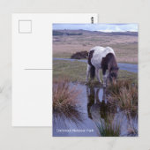 Reflecties van een nationaal park van Dartmoor in Briefkaart (Voorkant / Achterkant)
