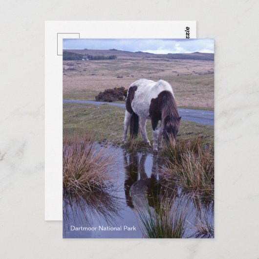 Reflecties van een nationaal park van Dartmoor in Briefkaart (Voorkant / Achterkant)