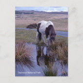 Reflecties van een nationaal park van Dartmoor in Briefkaart (Voorkant)