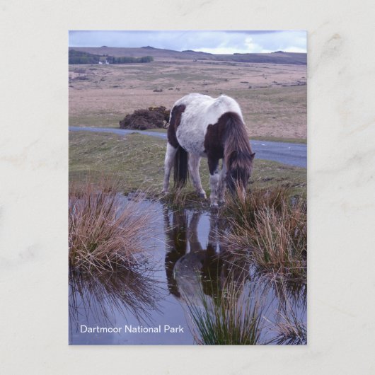 Reflecties van een nationaal park van Dartmoor in Briefkaart (Voorkant)