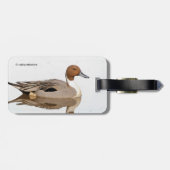 Reflecties van een noordelijke Pintail Duck Bagagelabel (Achterkant horizontaal)