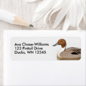 Reflecties van een noordelijke Pintail Duck Etiket (Insitu)