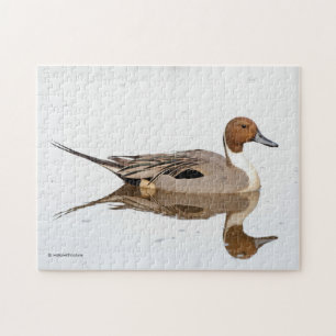 Reflecties van een noordelijke Pintail Duck Legpuzzel