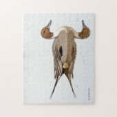 Reflecties van een noordelijke Pintail Duck Legpuzzel (Verticaal)