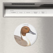 Reflecties van een noordelijke Pintail Duck Magneet (Insitu (Vaatwasser))