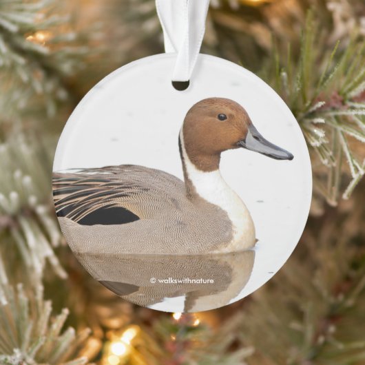 Reflecties van een noordelijke Pintail Duck Ornament (Boom)