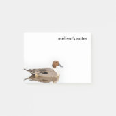 Reflecties van een noordelijke Pintail Duck Post-it® Notes (Voorkant)