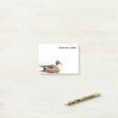 Reflecties van een noordelijke Pintail Duck Post-it® Notes (Op bureau)