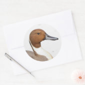 Reflecties van een noordelijke Pintail Duck Ronde Sticker (Envelop)