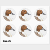 Reflecties van een noordelijke Pintail Duck Ronde Sticker (Vel)