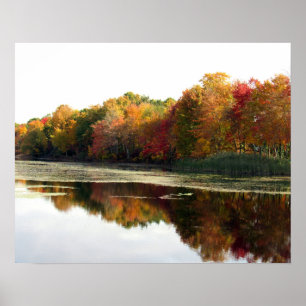 Reflecties van een prachtig Herfst Landschap Poste Poster