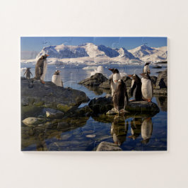 Reflecties van Gento Penguins in Antarctica Legpuzzel
