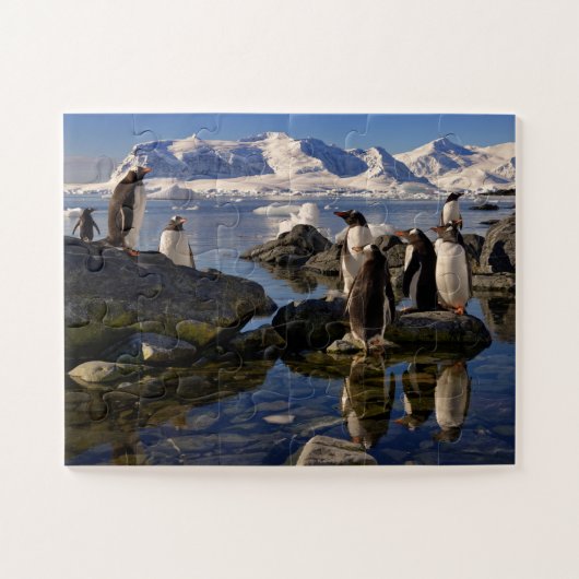 Reflecties van Gento Penguins in Antarctica Legpuzzel (Horizontaal)
