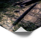 Reflecties van Herfsten Poster (Hoek)