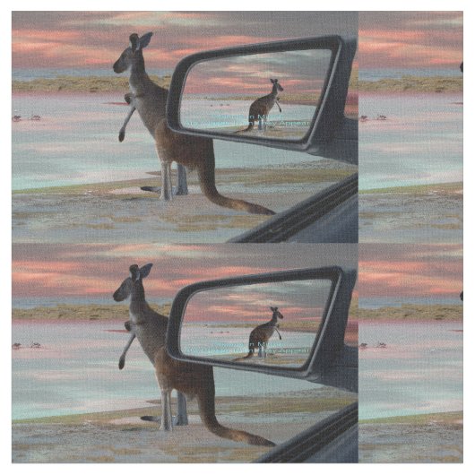 Reflecties van het wild: een kangoeroe op het stra stof (Close Up)