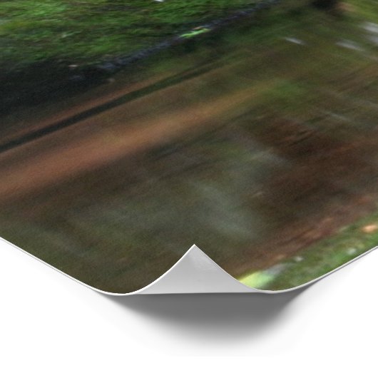 Reflecties van Minerale Creek Poster (Hoek)