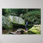 Reflecties van Minerale Creek Poster (Voorkant)