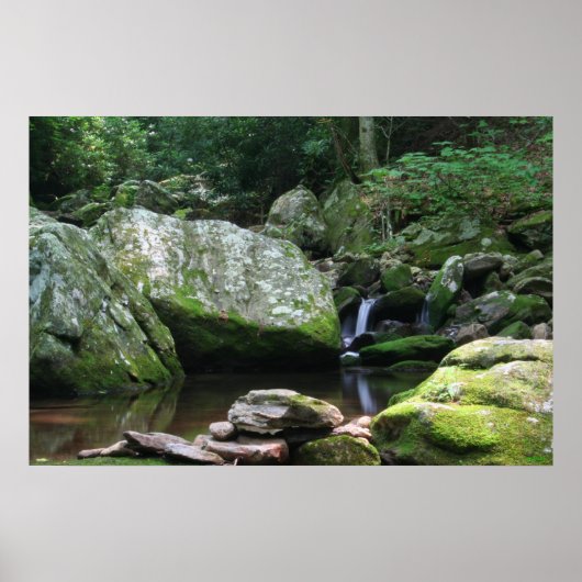 Reflecties van Minerale Creek Poster (Voorkant)