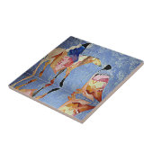 REFLECTIES VAN NATIEVE AMERIKANEN TEGELTJE (Zijkant)