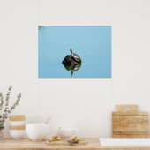 Reflecties van Poster van de lente (schildpad) (Keuken)