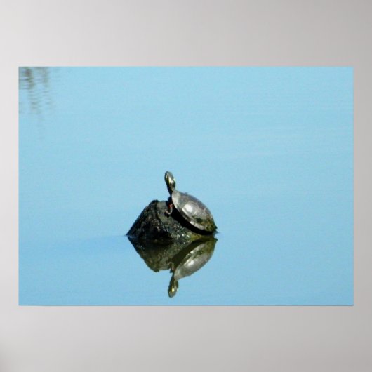 Reflecties van Poster van de lente (schildpad) (Voorkant)