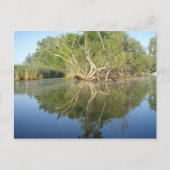 Reflectiestructuur Briefkaart (Voorkant)