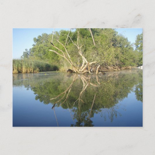 Reflectiestructuur Briefkaart (Voorkant)