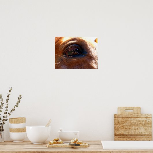 Reflection in Horse's Eye Poster (Keuken)