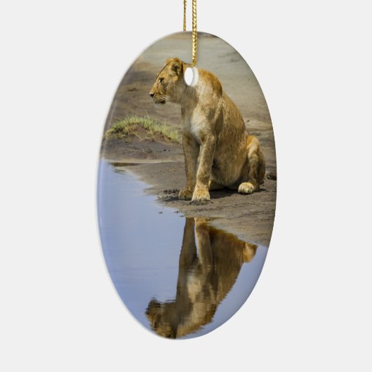 Reflection of a Lioness Ornament (Rechts)