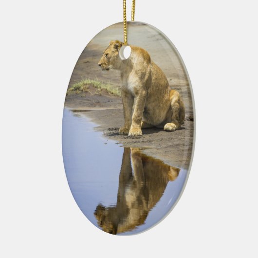 Reflection of a Lioness Ornament (Links)