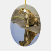 Reflection of a Lioness Ornament (Voorkant)