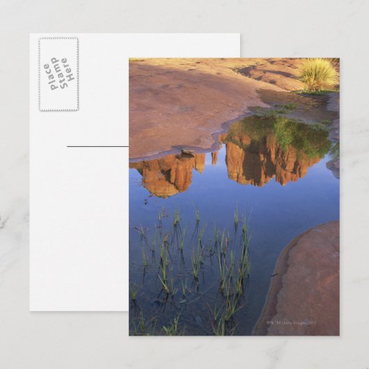 Reflection of Cathedral Rock , Sedona , Arizona Briefkaart (Voorkant / Achterkant)