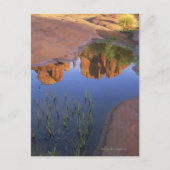 Reflection of Cathedral Rock , Sedona , Arizona Briefkaart (Voorkant)
