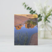 Reflection of Cathedral Rock , Sedona , Arizona Briefkaart (Staand voorkant)