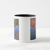 Reflection of Cathedral Rock , Sedona , Arizona Mok (Midden)